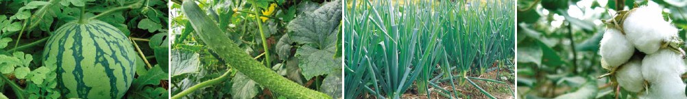 ����(n��i)��