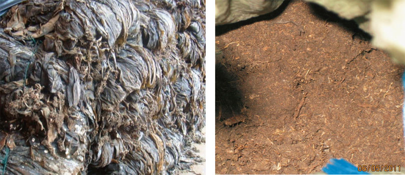 �Ժ�������̿����������|(zh��)